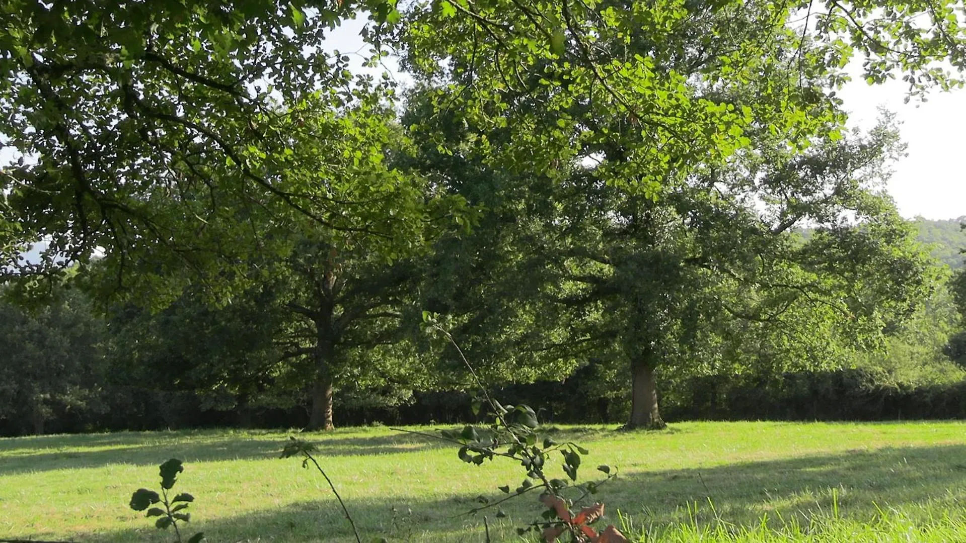 Bed & Breakfast La Ferme Des Hautins - Chambres -D'Hotes Rieucaze